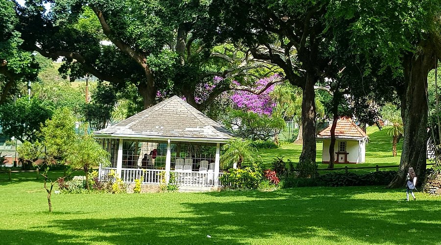 Mitchell Park